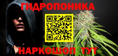 ECSTASY Кингисепп